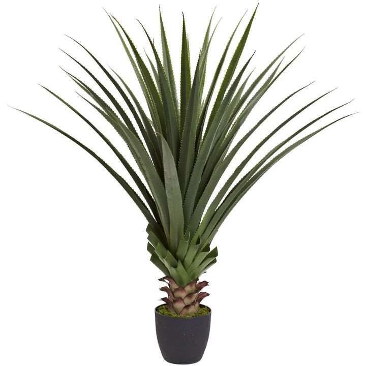 HomPlanti 4" Spiked Agave Plant