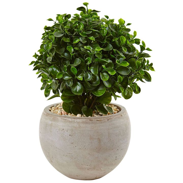 Nearly Natural 2-ft Eucalyptus in Bowl UV Resistant (Indoor/Outdoor)