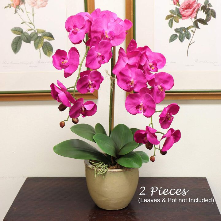 33.5" Real Touch Fuchsia Orchids - 2 Pack Ultra-Realistic Artificial Orchids for DIY Centerpieces, Home & Event Decor - Lifelike Floral Arrangements