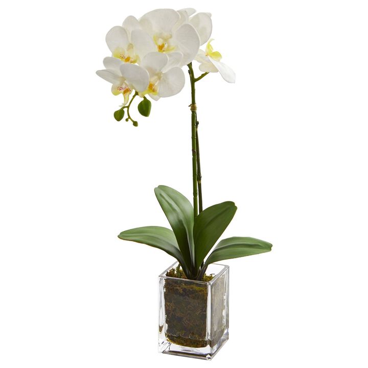 Nearly Natural 24-in Orchid Phalaenopsis Artificial Arrangement in Vase