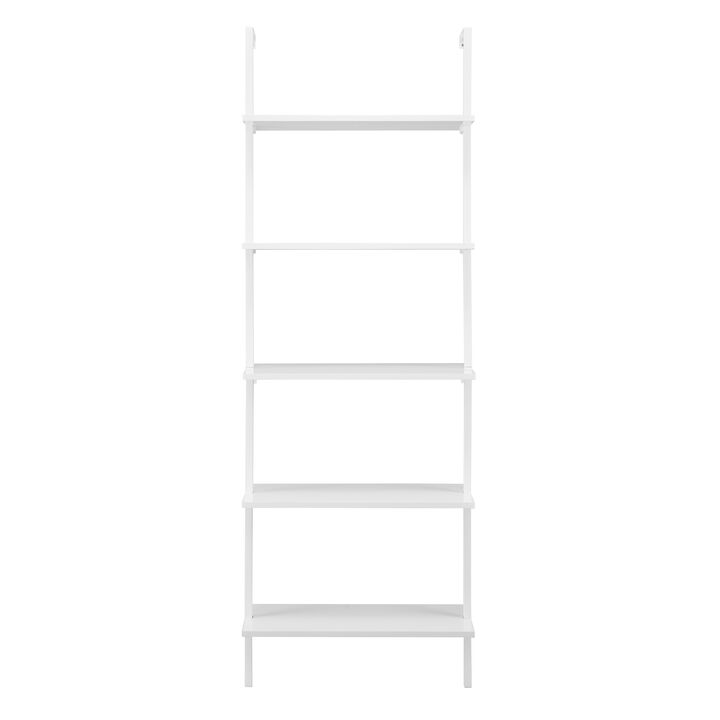 Everett 5-Tier Open Display Stand Wall Mount Modern Metal Frame Ladder Shelf
