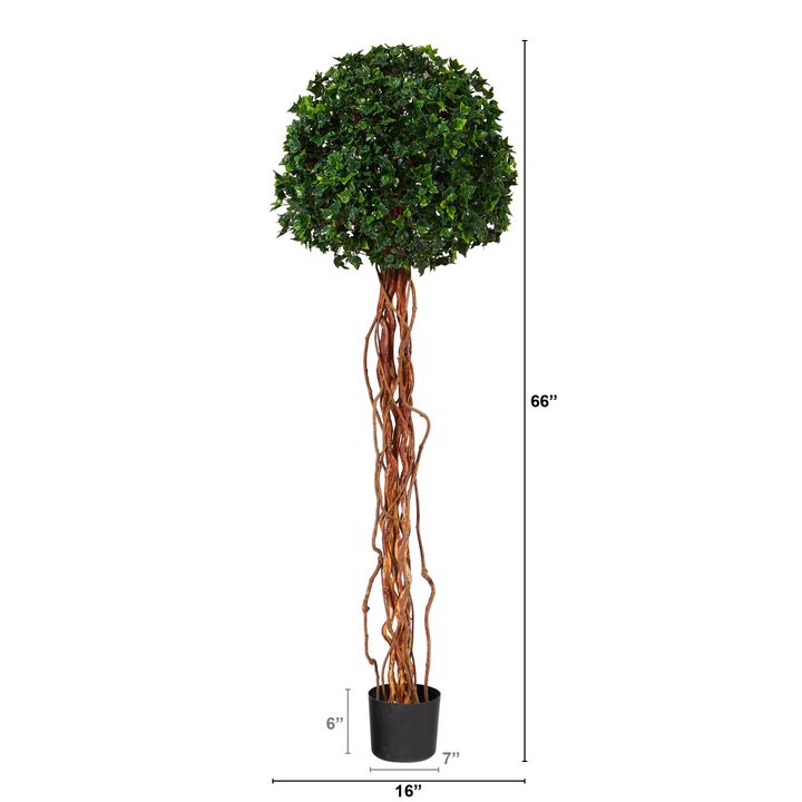HomPlanti 5.5 Feet English Ivy Single Ball Artificial Topiary Tree with Natural Trunk UV Resistant (Indoor/Outdoor)