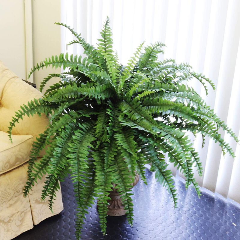 Boston Fern Artificial Plants - UV Resistant, Indoor or Outdoor Plant, Hanging Basket or Planter, 34" Inch Diameter 42 Fronds