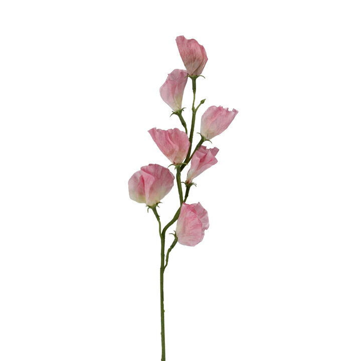 21.5" Pink and Cream Colored Sweetpea Flower Artificial Floral Craft Spray