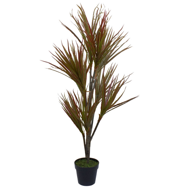 55" Green and Red Artificial Dracaena Potted Plant