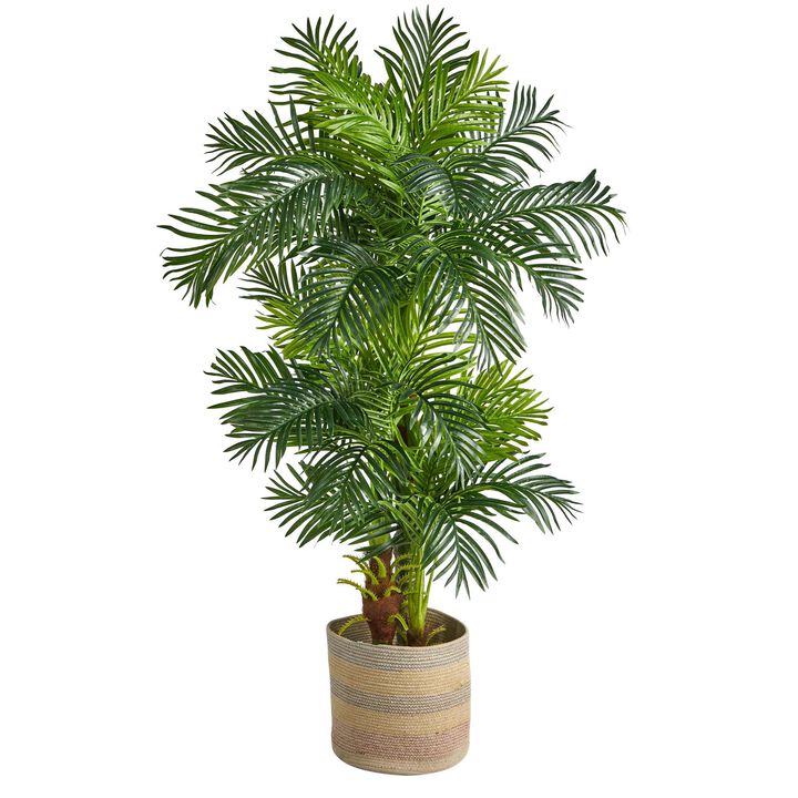 Nearly Natural 6-ft Hawaii Palm Tree in Natural Cotton Multicolored Planter