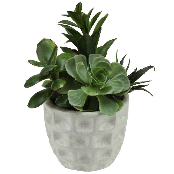 9.5" Green and White Artificial Mixed Spring Potted Succulent Plant