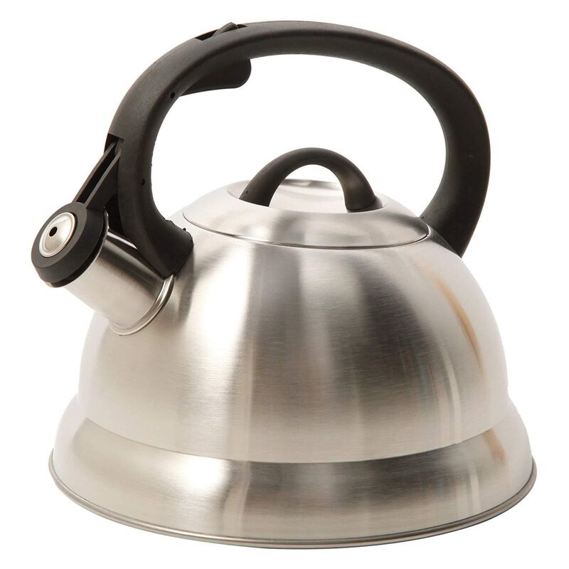 Mr. Coffee Flintshire 1.75 Qt. Stainless Steel Whistling Tea Kettle