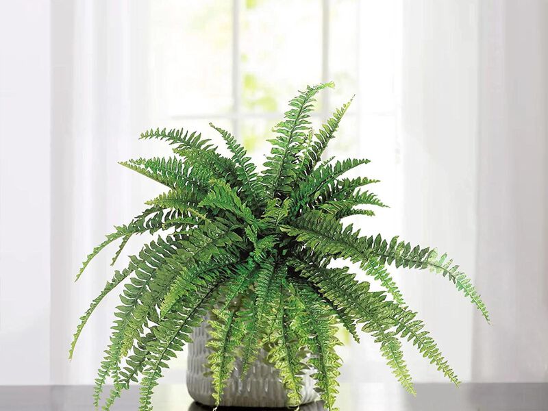 Boston Fern Artificial Plants - Outdoor or Indoor House Plant, Hanging Basket or Planter, 48” Inch Diameter 48 Fronds