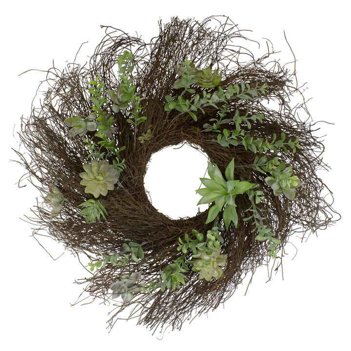 Eucalyptus and Succulents Artificial Twig Wreath - 22-Inch