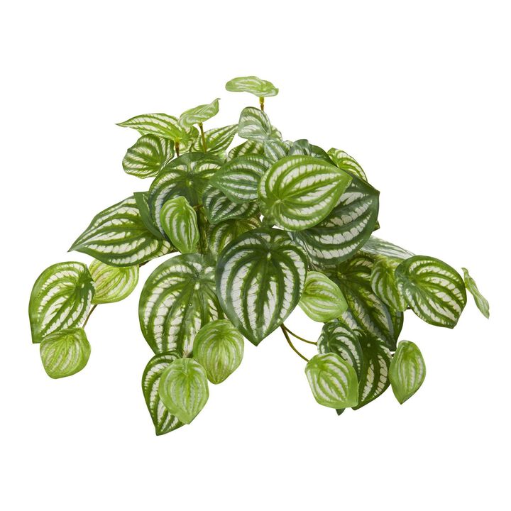 Nearly Natural 11-in Peperomia Hanging Plant (Set of 12) (Real Touch)