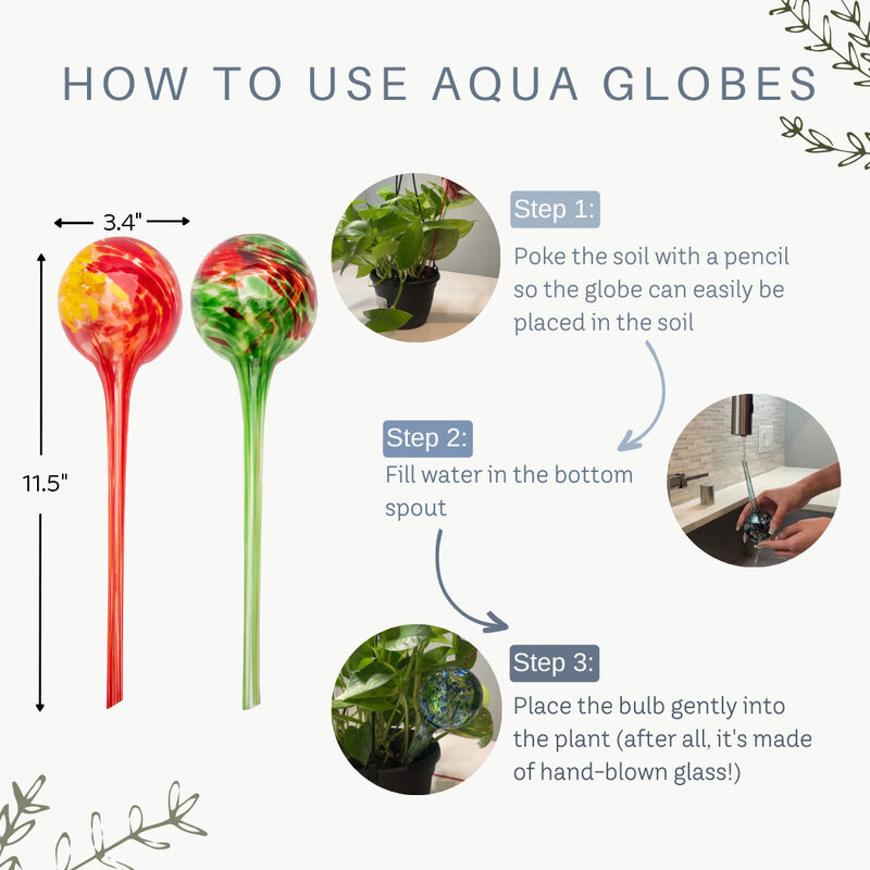 Self-Watering Plant Gazing Globes – 5 Pack Aqua Gazing Globes