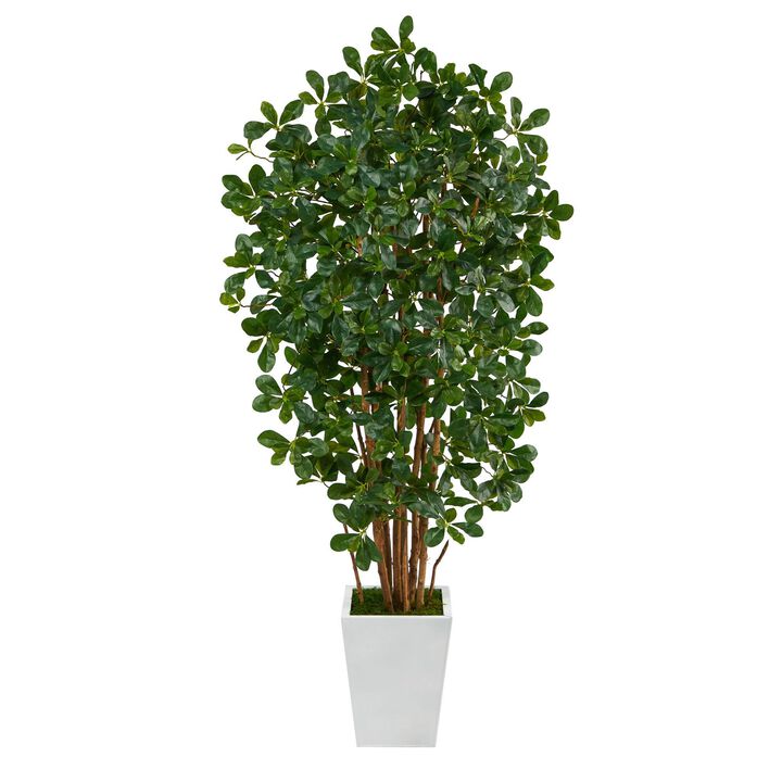 Nearly Natural 5.5-in Black Olive Tree with 1365 Bendable Leaves in Planter
