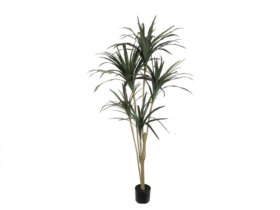 Silk Dracena Marginata , 5' w 118 Natural Looking Silk Leaves , Black Pot, Realistic Trunk, Silk House Plant for Home / Commercial